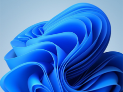 На компьютерах с Windows 11 выявлено множество проблем при использовании около 100 моделей принтеров Brother