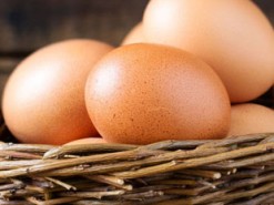 Ждите курицу. Как Instagram "снес" самое дорогое яйцо в мире