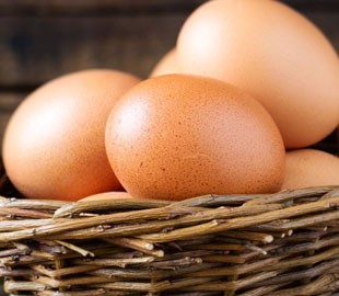 Ждите курицу. Как Instagram "снес" самое дорогое яйцо в мире