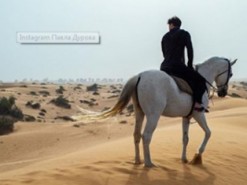 Павел Дуров на коне превратился в мем