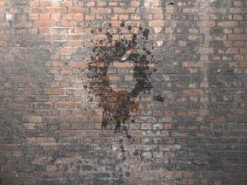 Apple заподозрили в сокрытии данных о вредоносном ПО