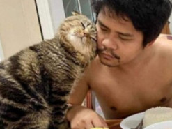 "Кот-собственник" прославился благодаря безграничной любви к хозяину