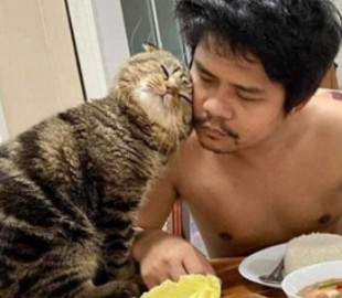 "Кот-собственник" прославился благодаря безграничной любви к хозяину
