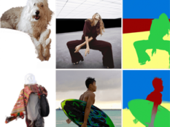 В MIT создали нейросеть, способную заменить фон на любом изображении