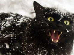 Чи можливий сніг у листопаді: синоптик описав погодну картину останнього місяця осені