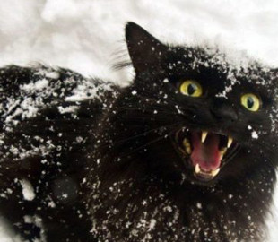 Чи можливий сніг у листопаді: синоптик описав погодну картину останнього місяця осені