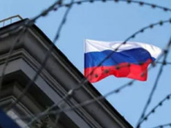 Россияне заспамили мемами и картинками котиков чат "Единой России" для жалоб на "фейки" о российской армии