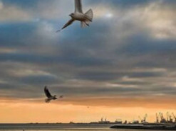 "Мариуполя нет": Зеленский показал город до вторжения оккупантов. Фото