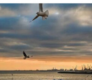 "Мариуполя нет": Зеленский показал город до вторжения оккупантов. Фото