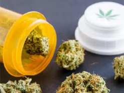 В Раді збираються легалізувати медичний канабіс вже у цьому місяці