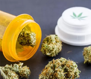 В Раді збираються легалізувати медичний канабіс вже у цьому місяці