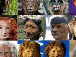 Нейросеть научилась превращать портреты людей в фотографии животных