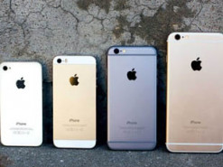 Пользователи не различают модели iPhone