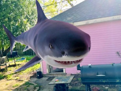 Пошук Google став гальмувати на показі тварин із доповненою реальністю