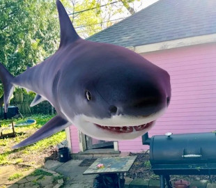 Пошук Google став гальмувати на показі тварин із доповненою реальністю