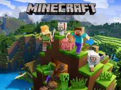 Мужчина провел сутки в виртуальной реальности игры Minecraft