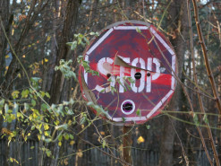 В Чернобыльской зоне практически отсутствует мобильный интернет 4G