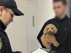 Кіберполіція України допомогла США викрити шахрайську схему на $1,5 млн: жертвою стала комісія з азартних ігор