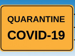 Перед лицом коронавируса: как украинские техно-компании живут в условиях карантина