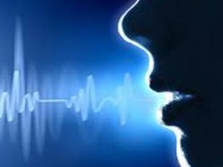 Британские налоговики собрали образцы голосов 5,1 млн граждан