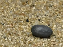 Ученые изобрели спрей, который "оживляет" предметы и превращает их в роботов