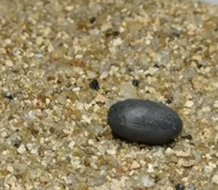 Ученые изобрели спрей, который "оживляет" предметы и превращает их в роботов