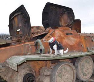 Рятувальники знешкоджують техніку окупантів: їм допомагає легендарний пес Патрон