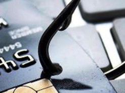 В Украине появился новый вид мошенничества, связанный с животными: как работает схема