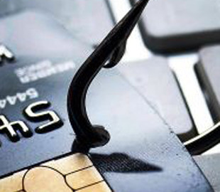 В Украине появился новый вид мошенничества, связанный с животными: как работает схема