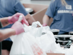 СБУ затримала «волонтерку» з позивним «007», яка працювала на фсб рф