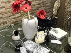 Полиция пресекла деятельность сети порностудий