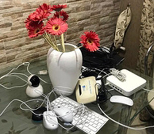 Полиция пресекла деятельность сети порностудий