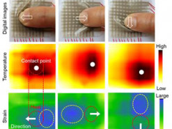 Электронная кожа приближается по разнообразию свойств к человеческой