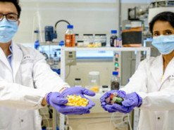 Апельсиновые корки помогут экологично перерабатывать литиевые аккумуляторы