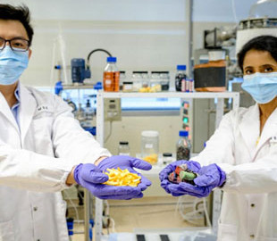 Апельсиновые корки помогут экологично перерабатывать литиевые аккумуляторы