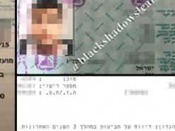 Хакеры опубликовали данные клиентов израильской страховой компании после шантажа