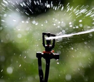 Ботнет из умных «поливалок» может осушить водохранилище