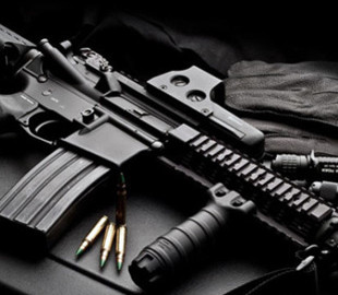 Закон про обіг зброї дозволить отримати майже всі держпослуги щодо неї через «Дію»