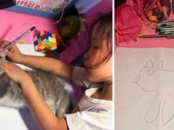 Девочка создала популярный мем, придумав странный способ нарисовать кота