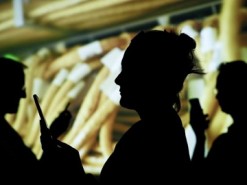 ООН расследует интернет-шпионаж правительств за гражданами своих стран