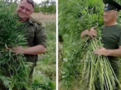 У Росії донські козаки знайшли собі нового "ворога" і активно його знищують: фото