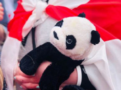 В Беларуси выпустили из СИЗО еще двух фигурантов дела IT-компании PandaDoc