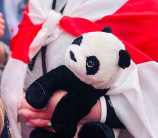 В Беларуси выпустили из СИЗО еще двух фигурантов дела IT-компании PandaDoc