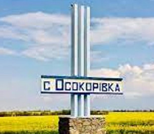 Ексжурналіст New York Times побував у зруйнованому військовими РФ селищі на Херсонщині