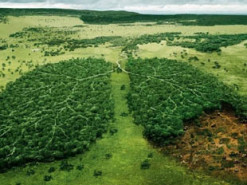 На сайті Президента з’явилася петиція про створення екологічної поліції