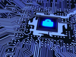 Преступники покупают сертификаты безопасности, притворяясь директорами компаний