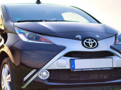 СМИ: в компании Toyota объявили войну электрокарам