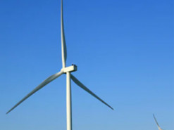 Вітрогенератори стануть ефективнішими за рахунок особливих лопатей: чим вони кращі за звичайні