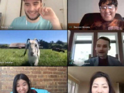 Ферма в США придумала необычный способ развлечения для корпоративных видеозвонков