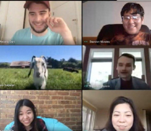 Ферма в США придумала необычный способ развлечения для корпоративных видеозвонков